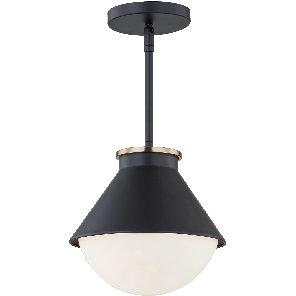 Fusion Collection 1 Light 10 inch Matte Black with Brass Ring Outdoor Pendant in Small, Ravelle Family